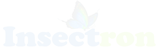 Insectron - India's Best Web Design Agency